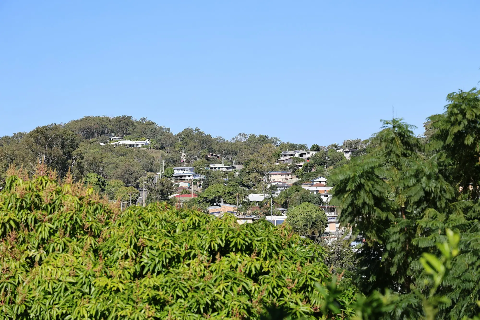 Hillside homes among trees in Gladstone, Queensland